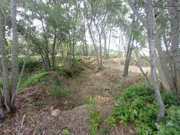 2 bedrooms House in Goncalo, Portugal No. 128449