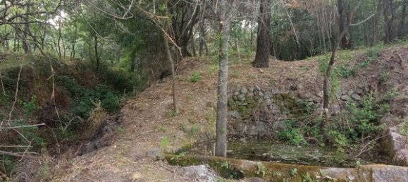 2 bedrooms House in Goncalo, Portugal No. 128449 13