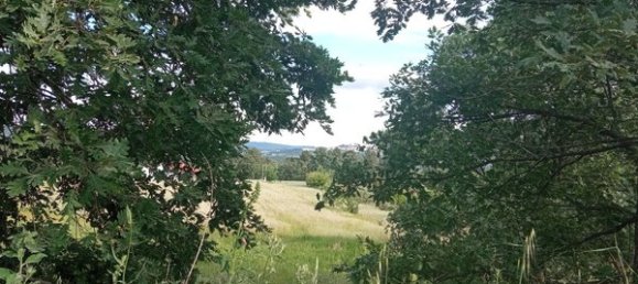 2 bedrooms House in Goncalo, Portugal No. 128449 28