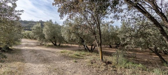 Terreno en Albolote, Spain No. 166596 4