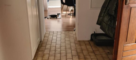 2 rooms House in Rosenburg-Mold, Austria No. 223277 7