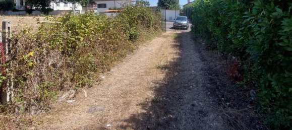 Grundstück in Rome, Italy 1800m², Nr. 281593 5