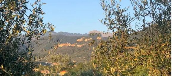 3 rooms Apartment in Luni, Italy No. 99170 8