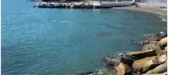 3 rooms Apartment in Luni, Italy No. 99170 10