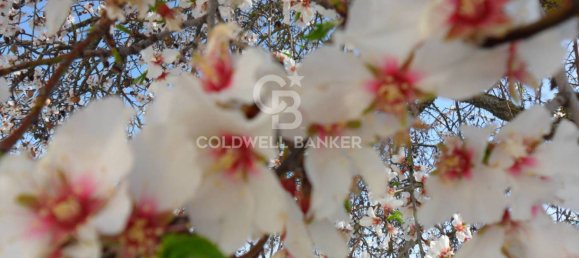 5غرفة فندق في Spoleto, Italy رقم 287182 24