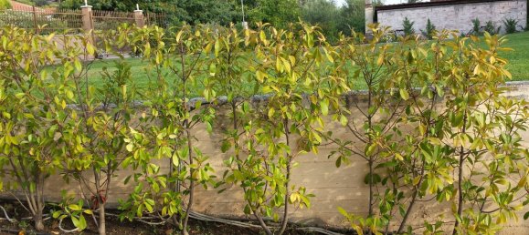 3 bedrooms Property in Chalkidiki, Greece No. 5864 19