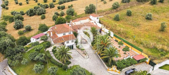 8 Schlafzimmer Haus in Torres Novas, Portugal, Nr. 49925 12