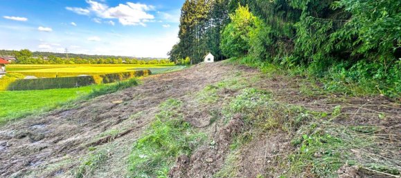 Земельный участок в Хитцендорф, Австрия № 28597 12