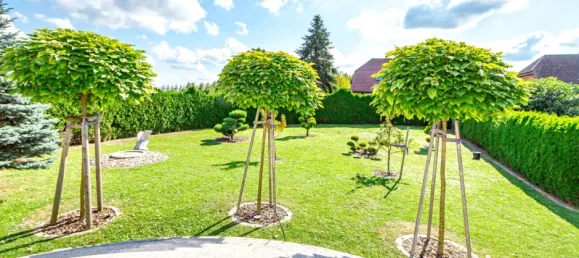 4-salle Maison à Uckermark, Germany No. 291316 8