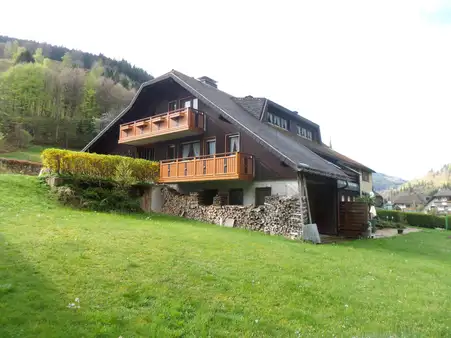 8 غرف نوم تاون هاوس في Lorrach, Germany رقم 59796