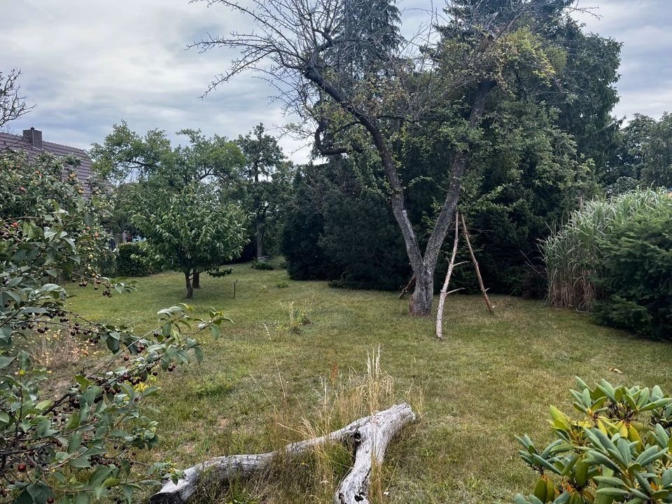 Grundstück in Teltow-Fläming, Germany, Nr. 106014