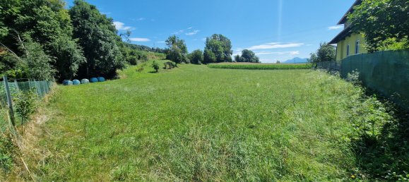 Grundstück in Völkermarkt, Austria, Nr. 196550 2