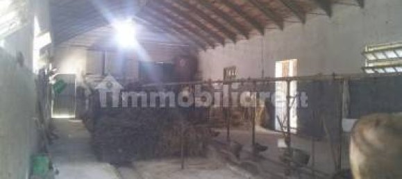 Квартира с 6 спальнями в Атри, Италия № 345351 16