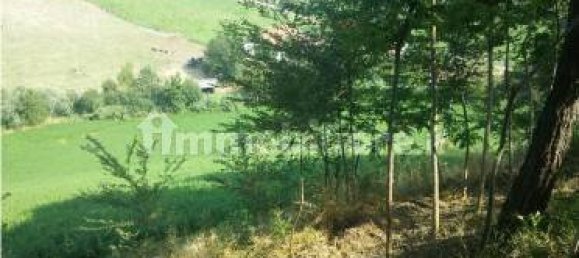 Квартира с 6 спальнями в Атри, Италия № 345351 19