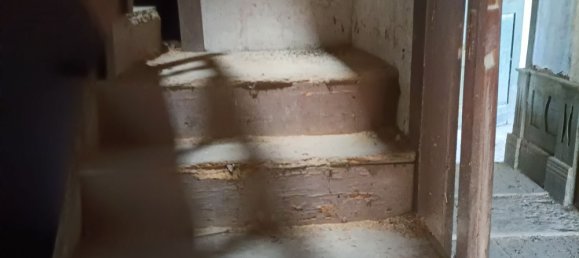 6 bedrooms House in Oliveira de Frades, Portugal No. 246164 3