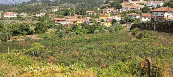 6 bedrooms House in Oliveira de Frades, Portugal No. 246164 26