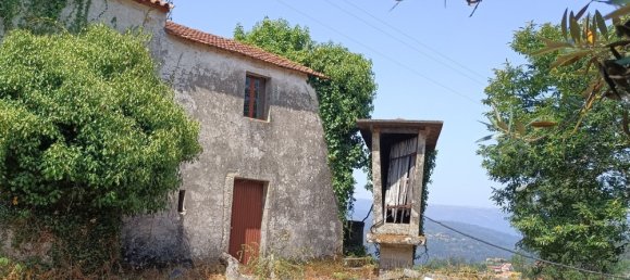 6 bedrooms House in Oliveira de Frades, Portugal No. 246164 22