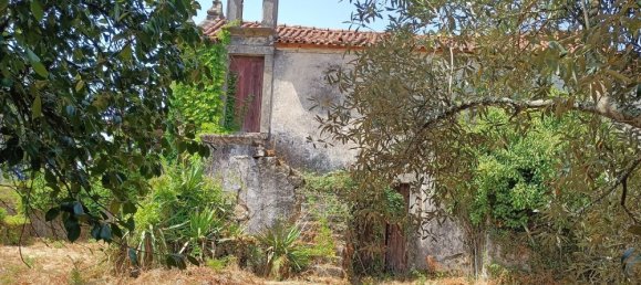 6 bedrooms House in Oliveira de Frades, Portugal No. 246164 25