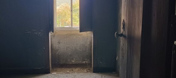 6 bedrooms House in Oliveira de Frades, Portugal No. 246164 6