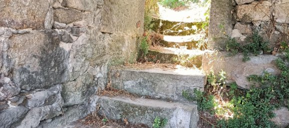 6 bedrooms House in Oliveira de Frades, Portugal No. 246164 24