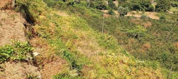 6 bedrooms House in Oliveira de Frades, Portugal No. 246164 36