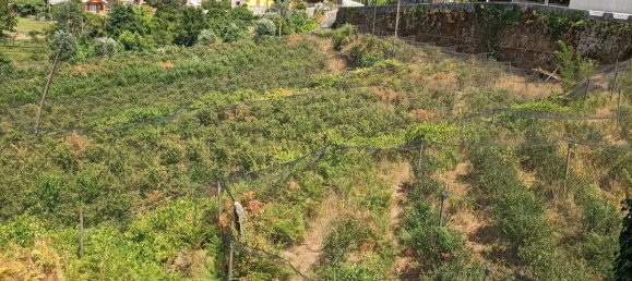 6 bedrooms House in Oliveira de Frades, Portugal No. 246164 35