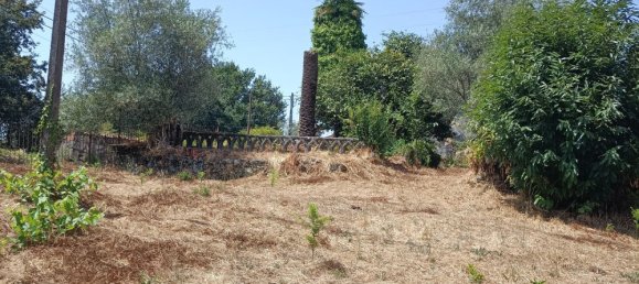 6 bedrooms House in Oliveira de Frades, Portugal No. 246164 32