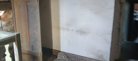 6 bedrooms House in Oliveira de Frades, Portugal No. 246164 5