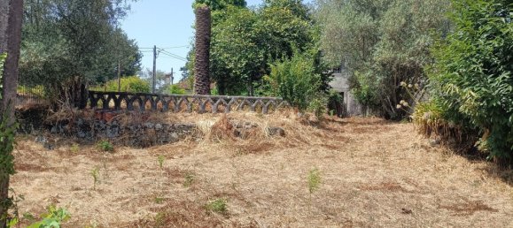 6 bedrooms House in Oliveira de Frades, Portugal No. 246164 27