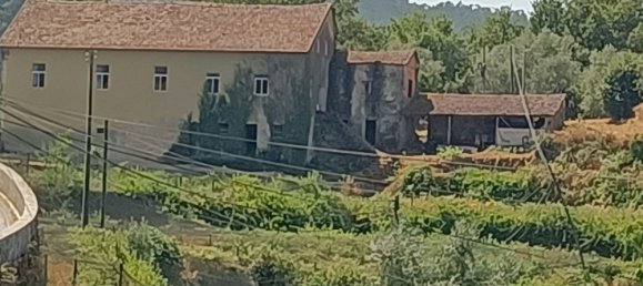 6 bedrooms House in Oliveira de Frades, Portugal No. 246164 2