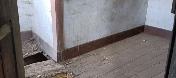 6 bedrooms House in Oliveira de Frades, Portugal No. 246164 14