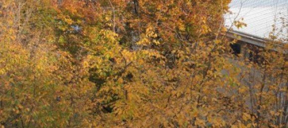 3 rooms Apartment in Muggiò, Italy No. 251693 2