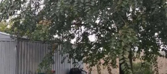 6 bedrooms Apartment in Alfonsine, Italy No. 381588 19