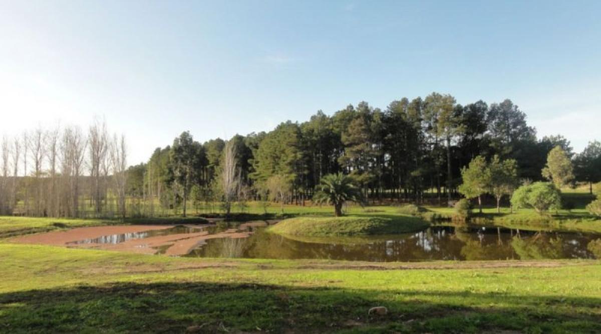 Farm in Maldonado, Uruguay No. 15455