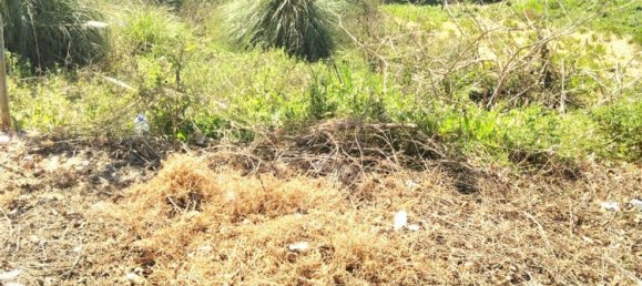 Grundstück in Avintes, Portugal 350m², Nr. 62987 3