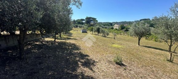 Grundstück in Frascati, Italy, Nr. 334815 14