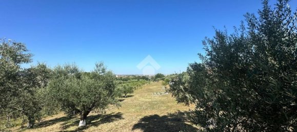 Grundstück in Frascati, Italy, Nr. 334815 3