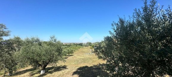 Grundstück in Frascati, Italy, Nr. 334815 17