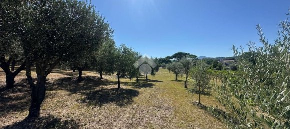 Grundstück in Frascati, Italy, Nr. 334815 10