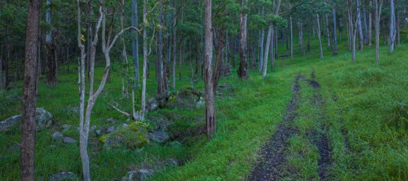 Земельный участок 486675м² в Nimbin, Австралия № 975 11