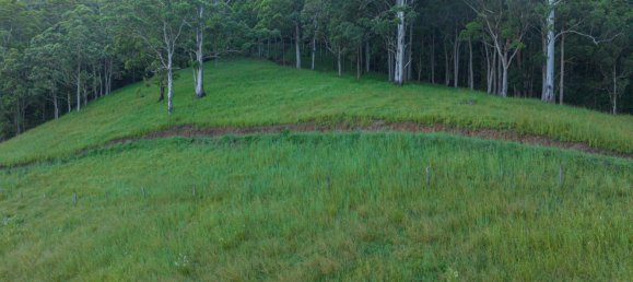 Земельный участок 486675м² в Nimbin, Австралия № 975 10