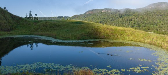 Земельный участок 486675м² в Nimbin, Австралия № 975 14