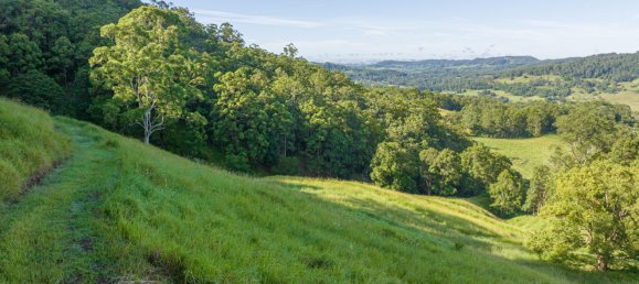 Земельный участок 486675м² в Nimbin, Австралия № 975 29