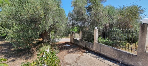 5 chambres Propriété commerciale à Chalkidiki, Greece No. 3525 2