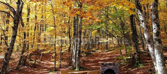 3 غرف نوم شقة في Castelsaraceno, Italy رقم 60713 38