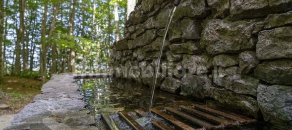 3 غرف نوم شقة في Castelsaraceno, Italy رقم 60713 37