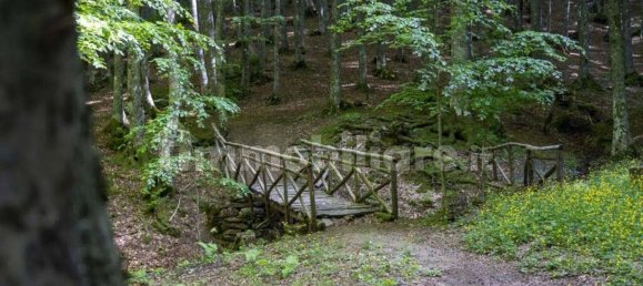 3 غرف نوم شقة في Castelsaraceno, Italy رقم 60713 32