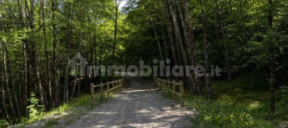 3 غرف نوم شقة في Castelsaraceno, Italy رقم 60713 35