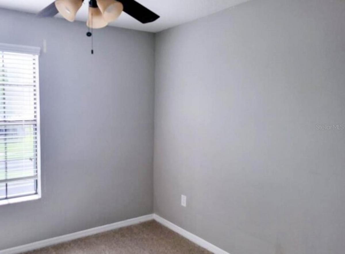 4 bedrooms House in Tampa, USA No. 440165