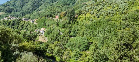 4 chambres Maison à Pescia, Italy No. 281497 7